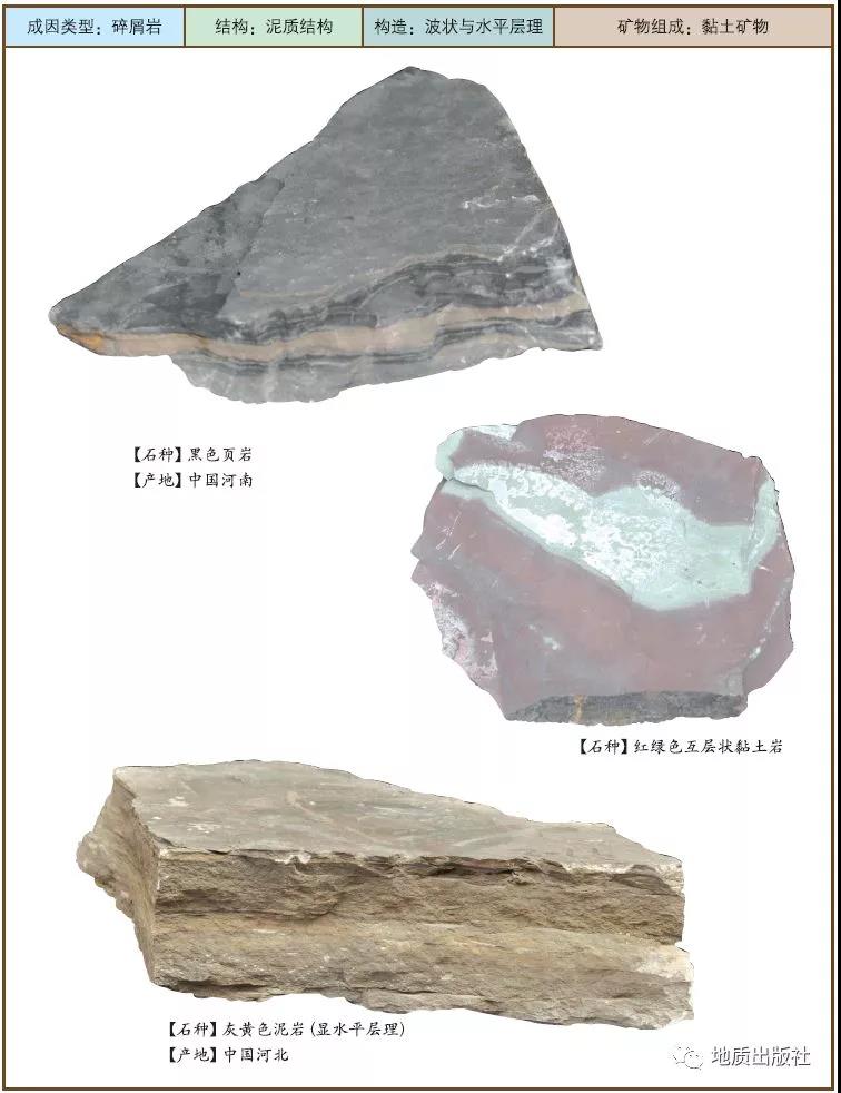 4 泥巖1.jpg
