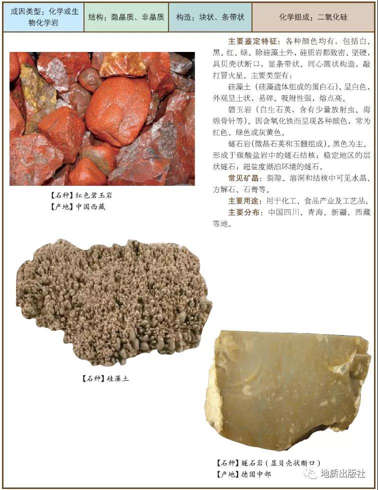 7 硅質(zhì)巖.jpg