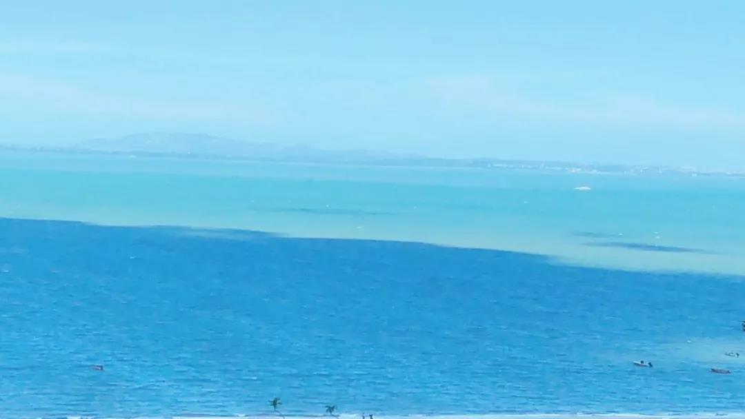 1567045947124317.jpg 1.jpg